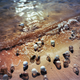 Illustration for article titled Artist's Trash Exhibitions Depict A Planet Colonized By Plastic